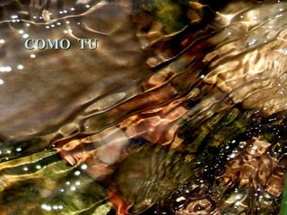 COMO TU