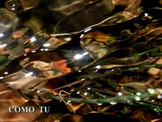 COMO TU