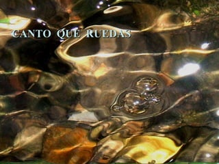 CANTO QUE RUEDAS