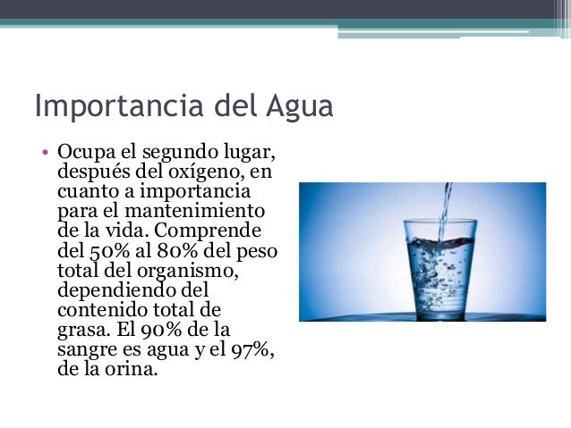 El Agua Y Los Electrolitos