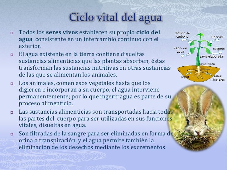 La gente también piden calcular metabolismo basal harris benedict