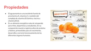Propiedades
● El aguaymanto es una excelente fuente de
provitamina A, vitamina C y también del
complejo de vitamina B (tiamina, niacina y
vitamina B12).
● Es un alimento energético natural, estupendo
para niños, deportistas y estudiantes. En su
composición muestra registros altos de proteína
y fósforo, primordiales para el crecimiento,
desarrollo y correcto funcionamiento de los
diferentes órganos humanos.
 