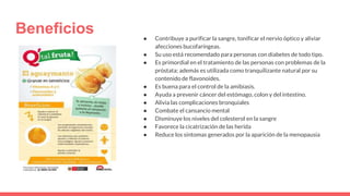 Beneficios ● Contribuye a purificar la sangre, tonificar el nervio óptico y aliviar
afecciones bucofaríngeas.
● Su uso está recomendado para personas con diabetes de todo tipo.
● Es primordial en el tratamiento de las personas con problemas de la
próstata; además es utilizada como tranquilizante natural por su
contenido de flavonoides.
● Es buena para el control de la amibiasis.
● Ayuda a prevenir cáncer del estómago, colon y del intestino.
● Alivia las complicaciones bronquiales
● Combate el cansancio mental
● Disminuye los niveles del colesterol en la sangre
● Favorece la cicatrización de las herida
● Reduce los síntomas generados por la aparición de la menopausia
 