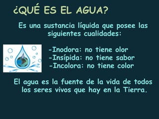 El agua y sus estados | PPT