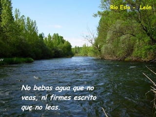 No bebas agua que no veas, ni firmes escrito que no leas. Rio Esla -  León 