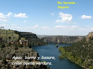 Agua, barro y basura, crian buena verdura. Rio Duratón -  Segovia 