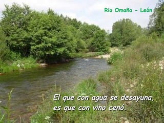 El que con agua se desayuna, es que con vino cenó. Rio Omaña - León 
