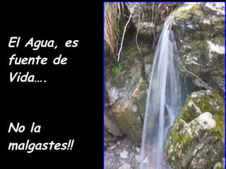 El Agua, es fuente de Vida…. No la malgastes!! 