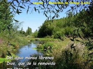 Del agua mansa líbrenos Dios, que de la removida me libro yo. Laguna -  Benavides de Orbigo (León) 