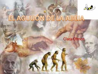 EL AGUIJÓN DE LA ABEJA Clara Olmos 