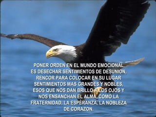 PONER ORDEN EN EL MUNDO EMOCIONAL, ES DESECHAR SENTIMIENTOS DE DESUNION, RENCOR PARA COLOCAR EN SU LUGAR SENTIMIENTOS MAS GRANDES Y NOBLES, ESOS QUE NOS DAN BRILLO A LOS OJOS Y NOS ENSANCHAN EL ALMA, COMO LA FRATERNIDAD, LA ESPERANZA, LA NOBLEZA DE CORAZON. 