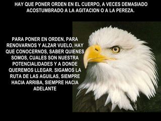 HAY QUE PONER ORDEN EN EL CUERPO, A VECES DEMASIADO ACOSTUMBRADO A LA AGITACION O A LA PEREZA. PARA PONER EN ORDEN, PARA RENOVARNOS Y ALZAR VUELO, HAY QUE CONOCERNOS, SABER QUIENES SOMOS, CUALES SON NUESTRA POTENCIALIDADES Y A DONDE QUEREMOS LLEGAR. SIGAMOS LA RUTA DE LAS AGUILAS, SIEMPRE HACIA ARRIBA, SIEMPRE HACIA ADELANTE 