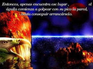 Entonces, apenas encuentra ese lugar ,  el águila comienza a golpear con su pico la pared, hasta conseguir arrancárselo. 