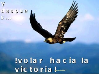 Y despues... !volar  hacia la victoria! Miguel Shtamoff 