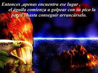 Entonces ,apenas encuentra ese lugar ,  el águila comienza a golpear con su pico la pared , hasta conseguir arrancárselo. 