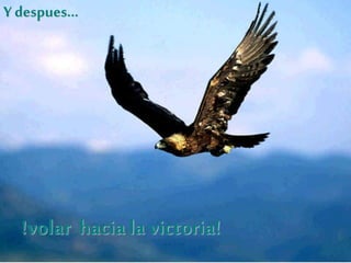 Y despues...
!volar hacia la victoria!
 