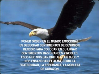 PONER ORDEN EN EL MUNDO EMOCIONAL,
ES DESECHAR SENTIMIENTOS DE DESUNION,
  RENCOR PARA COLOCAR EN SU LUGAR
 SENTIMIENTOS MAS GRANDES Y NOBLES,
 ESOS QUE NOS DAN BRILLO A LOS OJOS Y
   NOS ENSANCHAN EL ALMA, COMO LA
FRATERNIDAD, LA ESPERANZA, LA NOBLEZA
             DE CORAZON.
 