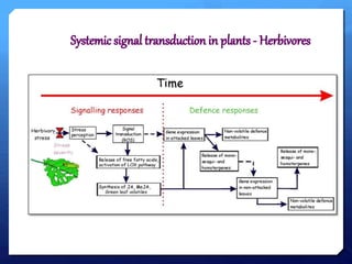 SYSTEMIC SIGNAL TRANSDUCTION IN PLANTS TO THE PATHOGEN AND HERBIVORE | PPTX