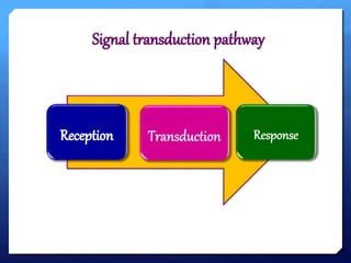 SYSTEMIC SIGNAL TRANSDUCTION IN PLANTS TO THE PATHOGEN AND HERBIVORE | PPTX