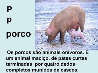P  p porco Os porcos são animais onívoros. É um animal maciço, de patas curtas terminadas  por quatro dedos completos munidos de cascos.  