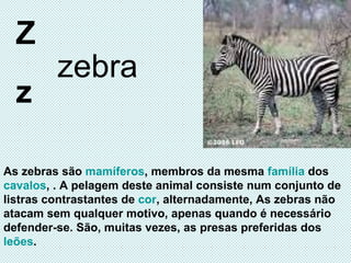 Z z zebra As zebras são  mamíferos , membros da mesma  família  dos  cavalos , . A pelagem deste animal consiste num conjunto de listras contrastantes de  cor , alternadamente, As zebras não atacam sem qualquer motivo, apenas quando é necessário defender-se. São, muitas vezes, as presas preferidas dos  leões . 