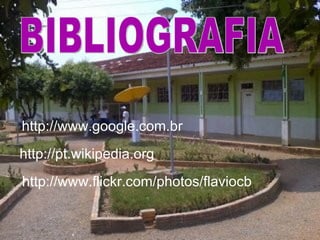 http://pt.wikipedia.org BIBLIOGRAFIA http://www.flickr.com/photos/flaviocb http://www.google.com.br 