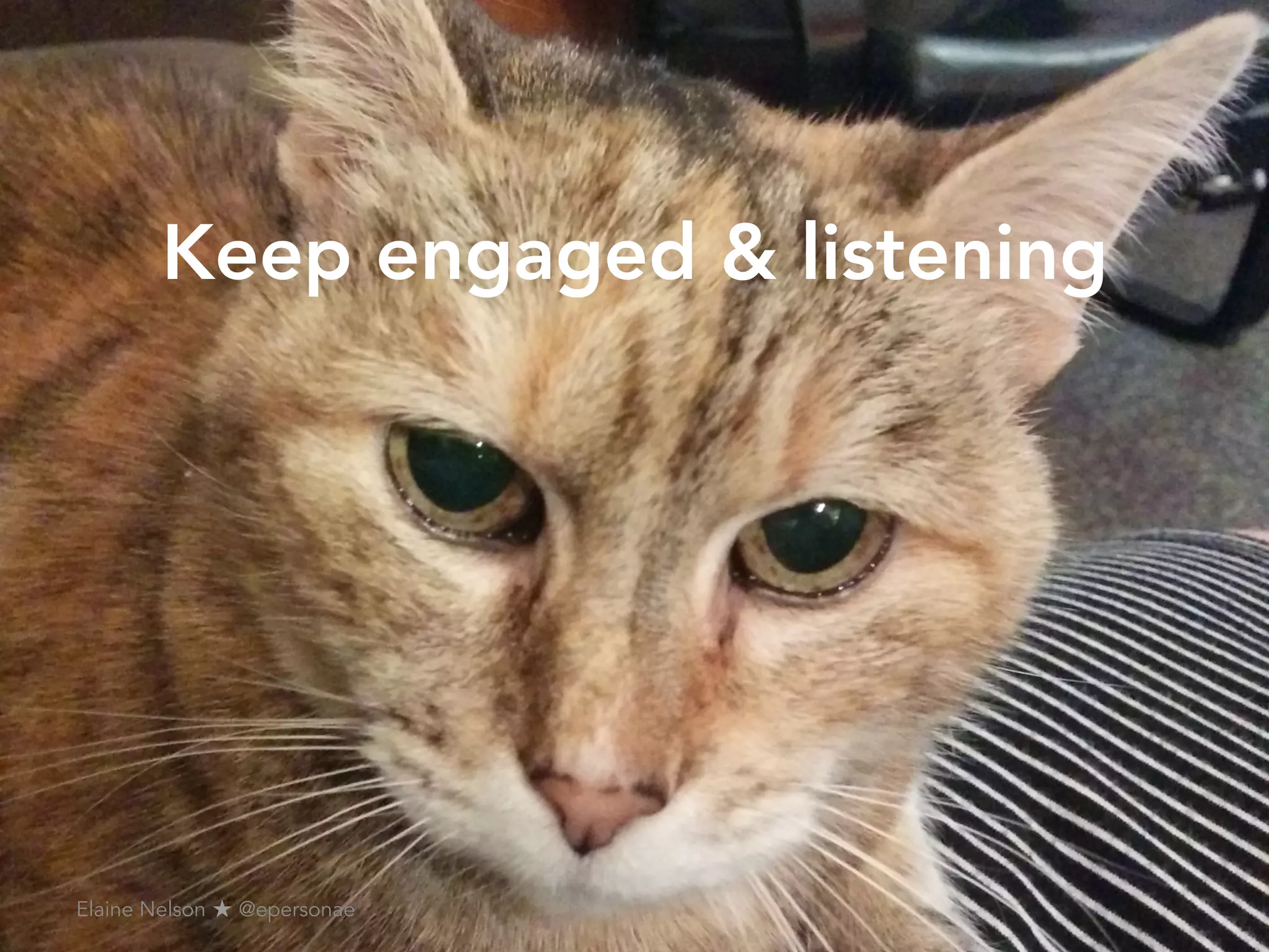 Keep engaged & listening
Elaine Nelson ★ @epersonae
 