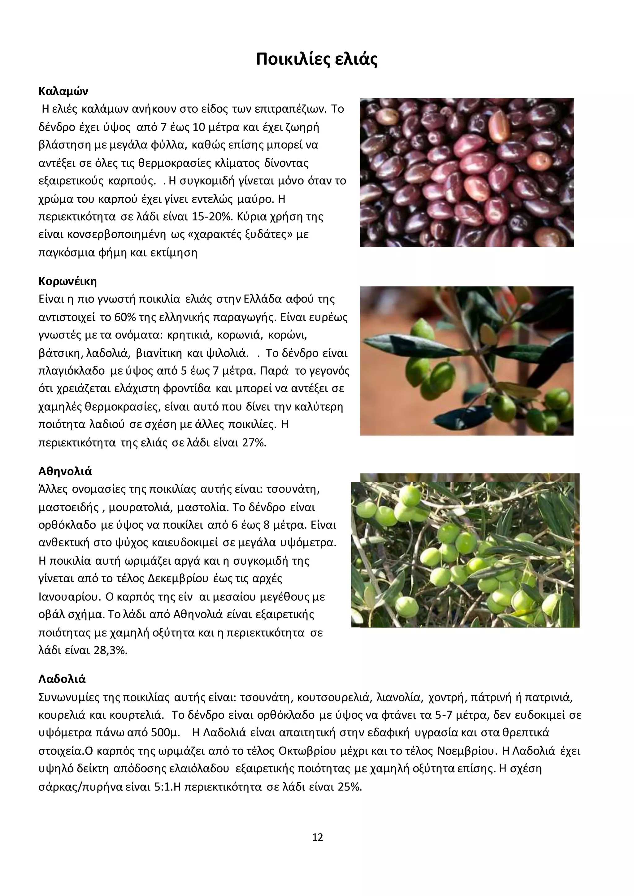 12
Ποικιλίες ελιάς
Καλαμών
Η ελιές καλάμων ανήκουν στο είδος των επιτραπέζιων. Το
δένδρο έχει ύψος από 7 έως 10 μέτρα και έχει ζωηρή
βλάστηση με μεγάλα φύλλα, καθώς επίσης μπορεί να
αντέξει σε όλες τις θερμοκρασίες κλίματος δίνοντας
εξαιρετικούς καρπούς. . Η συγκομιδή γίνεται μόνο όταν το
χρώμα του καρπού έχει γίνει εντελώς μαύρο. Η
περιεκτικότητα σε λάδι είναι 15-20%. Κύρια χρήση της
είναι κονσερβοποιημένη ως «χαρακτές ξυδάτες» με
παγκόσμια φήμη και εκτίμηση
Κορωνέικη
Είναι η πιο γνωστή ποικιλία ελιάς στην Ελλάδα αφού της
αντιστοιχεί το 60% της ελληνικής παραγωγής. Είναι ευρέως
γνωστές με τα ονόματα: κρητικιά, κορωνιά, κορώνι,
βάτσικη, λαδολιά, βιανίτικη και ψιλολιά. . Το δένδρο είναι
πλαγιόκλαδο με ύψος από 5 έως 7 μέτρα. Παρά το γεγονός
ότι χρειάζεται ελάχιστη φροντίδα και μπορεί να αντέξει σε
χαμηλές θερμοκρασίες, είναι αυτό που δίνει την καλύτερη
ποιότητα λαδιού σε σχέση με άλλες ποικιλίες. Η
περιεκτικότητα της ελιάς σε λάδι είναι 27%.
Αθηνολιά
Άλλες ονομασίες της ποικιλίας αυτής είναι: τσουνάτη,
μαστοειδής , μουρατολιά, μαστολία. Το δένδρο είναι
ορθόκλαδο με ύψος να ποικίλει από 6 έως 8 μέτρα. Είναι
ανθεκτική στο ψύχος καιευδοκιμεί σε μεγάλα υψόμετρα.
Η ποικιλία αυτή ωριμάζει αργά και η συγκομιδή της
γίνεται από το τέλος Δεκεμβρίου έως τις αρχές
Ιανουαρίου. Ο καρπός της είν αι μεσαίου μεγέθους με
οβάλ σχήμα. Το λάδι από Αθηνολιά είναι εξαιρετικής
ποιότητας με χαμηλή οξύτητα και η περιεκτικότητα σε
λάδι είναι 28,3%.
Λαδολιά
Συνωνυμίες της ποικιλίας αυτής είναι: τσουνάτη, κουτσουρελιά, λιανολία, χοντρή, πάτρινή ή πατρινιά,
κουρελιά και κουρτελιά. Το δένδρο είναι ορθόκλαδο με ύψος να φτάνει τα 5-7 μέτρα, δεν ευδοκιμεί σε
υψόμετρα πάνω από 500μ. Η Λαδολιά είναι απαιτητική στην εδαφική υγρασία και στα θρεπτικά
στοιχεία.Ο καρπός της ωριμάζει από το τέλος Οκτωβρίου μέχρι και το τέλος Νοεμβρίου. Η Λαδολιά έχει
υψηλό δείκτη απόδοσης ελαιόλαδου εξαιρετικής ποιότητας με χαμηλή οξύτητα επίσης. Η σχέση
σάρκας/πυρήνα είναι 5:1.Η περιεκτικότητα σε λάδι είναι 25%.
 