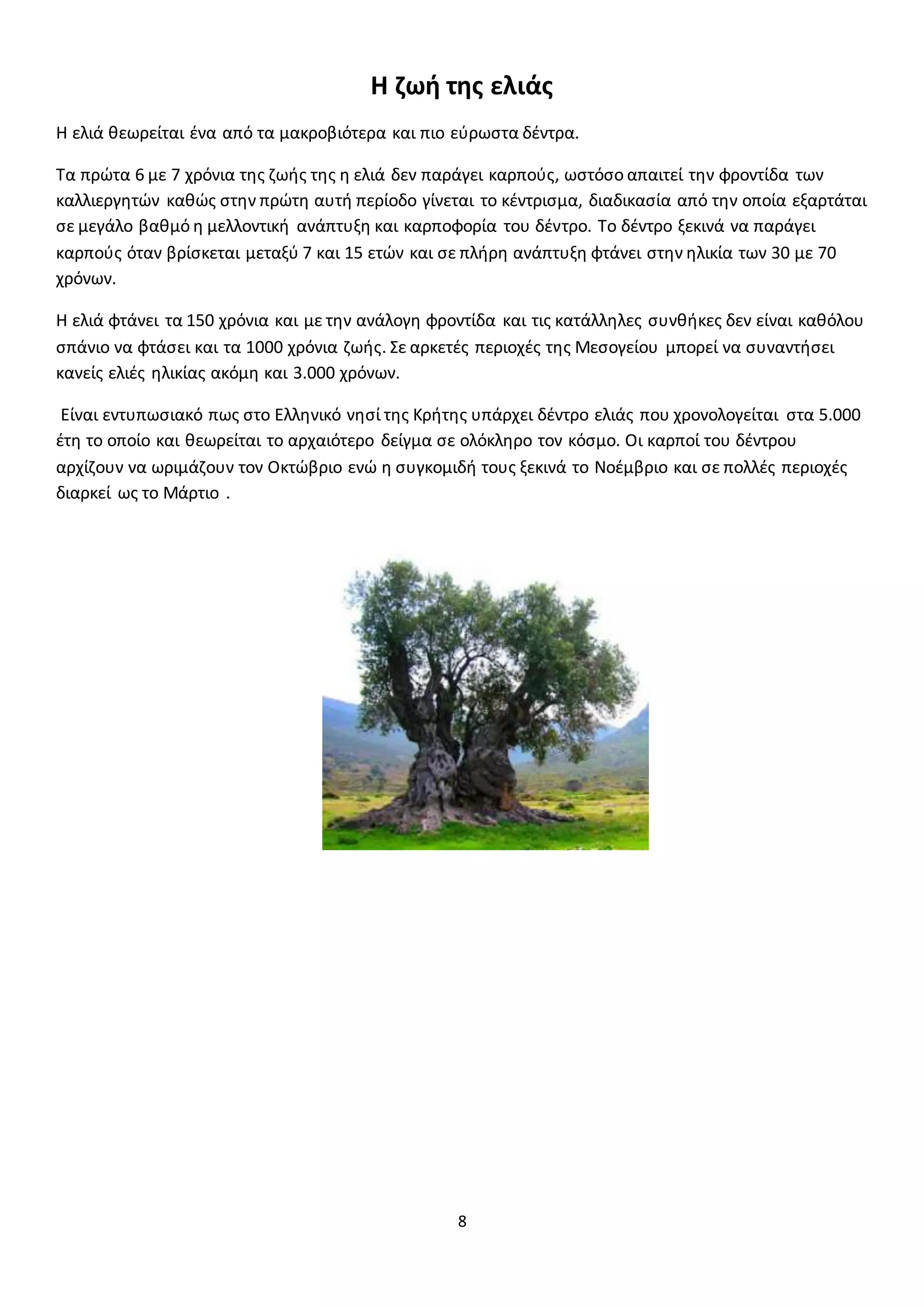8
H ζωή της ελιάς
Η ελιά θεωρείται ένα από τα μακροβιότερα και πιο εύρωστα δέντρα.
Τα πρώτα 6 με 7 χρόνια της ζωής της η ελιά δεν παράγει καρπούς, ωστόσο απαιτεί την φροντίδα των
καλλιεργητών καθώς στην πρώτη αυτή περίοδο γίνεται το κέντρισμα, διαδικασία από την οποία εξαρτάται
σε μεγάλο βαθμό η μελλοντική ανάπτυξη και καρποφορία του δέντρο. Το δέντρο ξεκινά να παράγει
καρπούς όταν βρίσκεται μεταξύ 7 και 15 ετών και σε πλήρη ανάπτυξη φτάνει στην ηλικία των 30 με 70
χρόνων.
Η ελιά φτάνει τα 150 χρόνια και με την ανάλογη φροντίδα και τις κατάλληλες συνθήκες δεν είναι καθόλου
σπάνιο να φτάσει και τα 1000 χρόνια ζωής. Σε αρκετές περιοχές της Μεσογείου μπορεί να συναντήσει
κανείς ελιές ηλικίας ακόμη και 3.000 χρόνων.
Είναι εντυπωσιακό πως στο Ελληνικό νησί της Κρήτης υπάρχει δέντρο ελιάς που χρονολογείται στα 5.000
έτη το οποίο και θεωρείται το αρχαιότερο δείγμα σε ολόκληρο τον κόσμο. Οι καρποί του δέντρου
αρχίζουν να ωριμάζουν τον Οκτώβριο ενώ η συγκομιδή τους ξεκινά το Νοέμβριο και σε πολλές περιοχές
διαρκεί ως το Μάρτιο .
 