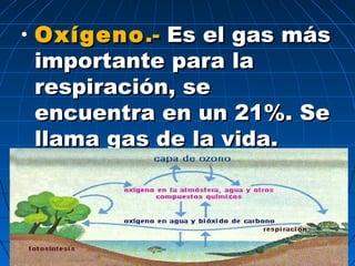 • OxígenoOxígeno.-.- Es el gas másEs el gas más
importante para laimportante para la
respiración, serespiración, se
encuentra en un 21%. Seencuentra en un 21%. Se
llama gas de la vida.llama gas de la vida.
 