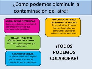 ¿Cómo podemos disminuir la
       contaminación del aire?
                                     NO COMPRAR ARTÍCULOS
NO MALGASTAR ELECTRICIDAD
                                    DESHECHABLES Y RECICLAR.
Cuando producimos electricidad
                                     En las industrias donde se
liberamos substancias que
                                      fabrican los objetos que
contaminan la atmósfera.
                                      compramos se generan
                                    substancias contaminantes.
    UTILIZAR TRANSPORTE
 PÚBLICO, BICILETA Y ANDAR.
 Los coches generan gases que
         contaminan.                  ¡TODOS
      CUIDAR LOS BOSQUES.            PODEMOS
  Las plantas fabrican el oxígeno
  que respiramos por eso es         COLABORAR!
  importante que las cuidemos.
 