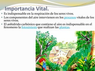 Importancia Vital.
 Es indispensable en la respiración de los seres vivos.
 Los componentes del aire intervienen en los procesos vitales de los
  seres vivos.
 El anhídrido carbónico que contiene el aire es indispensable en el
  fenomeno la fotosíntesis que realizan las plantas.
 
