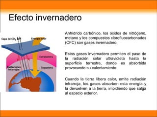 Efecto invernadero
Anhídrido carbónico, los óxidos de nitrógeno,
metano y los compuestos clorofluocarbonados
(CFC) son gases invernadero.
Estos gases invernadero permiten el paso de
la radiación solar ultravioleta hasta la
superficie terrestre, donde es absorbida
provocando su calentamiento.
Cuando la tierra libera calor, emite radiación
infrarroja, los gases absorben esta energía y
la devuelven a la tierra, impidiendo que salga
al espacio exterior.
 