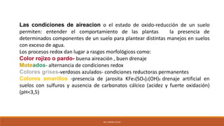 Las condiciones de aireacion o el estado de oxido-reducción de un suelo
permiten: entender el comportamiento de las plantas la presencia de
determinados componentes de un suelo para plantear distintas manejos en suelos
con exceso de agua.
Los procesos redox dan lugar a rasgos morfológicos como:
Color rojizo o pardo- buena aireación , buen drenaje
Moteados- alternancia de condiciones redox
Colores grises-verdosos azulados- condiciones reductoras permanentes
Colores amarillos -presencia de jarosita KFe3(SO4)2(OH)6 drenaje artificial en
suelos con sulfuros y ausencia de carbonatos cálcico (acidez y fuerte oxidación)
(pH<3,5)
ING. ANDREA GUAPI
 