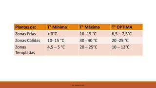 Plantas de: T° Mínima T° Máxima T° OPTIMA
Zonas Frías > 0°C 10 -15 °C 6,5 – 7,5°C
Zonas Cálidas 10- 15 °C 30 - 40 °C 20 -25 °C
Zonas
Templadas
4,5 – 5 °C 20 – 25°C 10 – 12°C
ING. ANDREA GUAPI
 