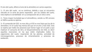 El aire del suelo, difiere al aire de la atmósfera en varios aspectos:
1.- El aire del suelo no es continuo, debido a que se encuentra
ubicado en la serie de poros separados por los sólidos del suelo,
esto explica la variabilidad en su composición de un sitio a otro.
2.- Tiene mayor humedad que el atmosférico, siendo su HR cercana
al 100% cuando es óptima.
3.- El contenido de CO2 es mas alto y el O2 es mas bajo que los de la
atmósfera. En el suelo hay menos O2 que en el aire y más CO2. Esto
se explica por todos los procesos que tienen lugar en el suelo y que
implican el consumo de O2 y el desprendimiento de CO2, es decir
aquellas reacciones en las que estén implicados todos los
organismos del suelo: respiración de las plantas, actividad de
microorganismos, procesos de mineralización y procesos de
oxidación.
ING. ANDREA GUAPI
 
