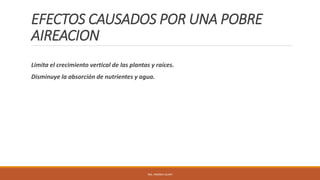 EFECTOS CAUSADOS POR UNA POBRE
AIREACION
Limita el crecimiento vertical de las plantas y raíces.
Disminuye la absorción de nutrientes y agua.
ING. ANDREA GUAPI
 