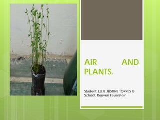 AIR
AND
PLANTS.
Student: ELLIE JUSTINE TORRES G.
School: Reuven Feuerstein

 