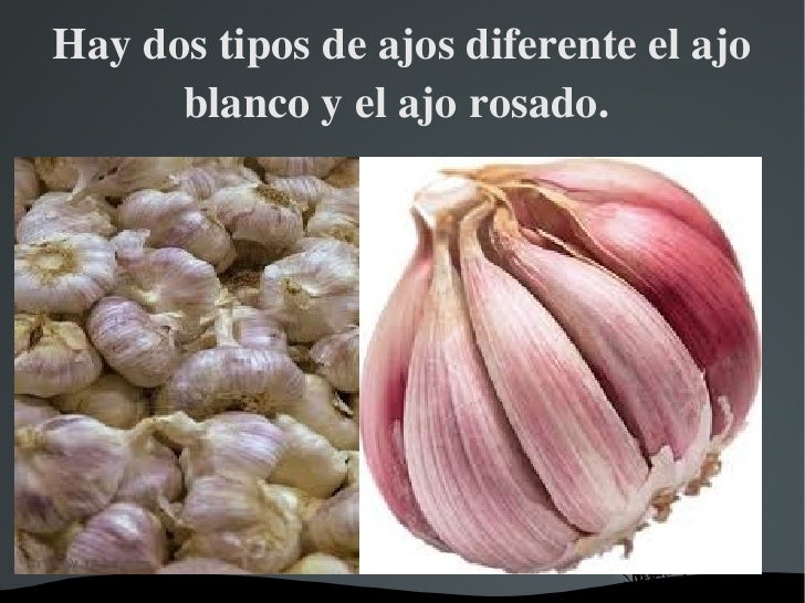 Ajo Deutsch Ajo Deutsch