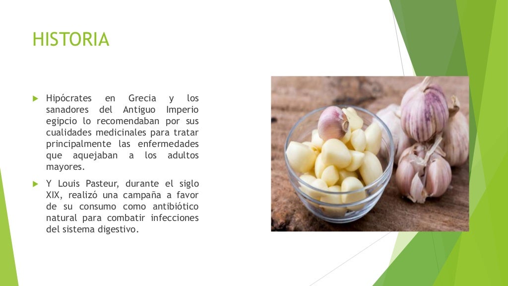 Ficha Tecnica Del Ajo