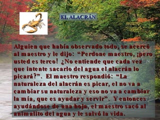 Alguien que había observado todo, se acercó al maestro y le dijo:  “Perdone maestro, ¡pero usted es terco!  ¿No entiende que cada vez que intente sacarlo del agua el alacrán lo picará?”.  El maestro respondió:  “La naturaleza del alacrán es picar, el no va a cambiar su naturaleza y eso no va a cambiar la mía, que es ayudar y servir”.  Y entonces ayudándose de una hoja, el maestro sacó al animalito del agua y le salvó la vida. EL ALACRÁN 