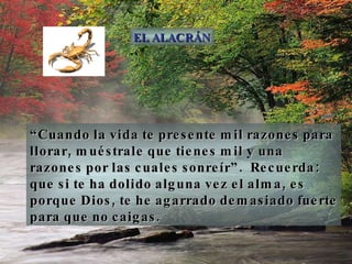 “ Cuando la vida te presente mil razones para llorar, muéstrale que tienes mil y una razones por las cuales sonreír”.  Recuerda:  que si te ha dolido alguna vez el alma, es porque Dios, te he agarrado demasiado fuerte para que no caigas. EL ALACRÁN 