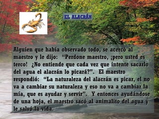 Alguien que había observado todo, se acercó al maestro y le dijo:  “Perdone maestro, ¡pero usted es terco!  ¿No entiende que cada vez que intente sacarlo del agua el alacrán lo picará?”.  El maestro respondió:  “La naturaleza del alacrán es picar, el no va a cambiar su naturaleza y eso no va a cambiar la mía, que es ayudar y servir”.  Y entonces ayudándose de una hoja, el maestro sacó al animalito del agua y le salvó la vida. EL ALACRÁN 