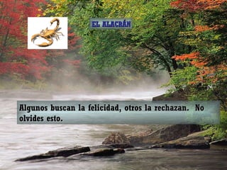 Algunos buscan la felicidad, otros la rechazan.  No olvides esto. EL ALACRÁN 