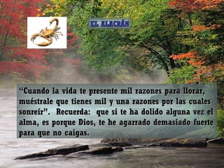 “ Cuando la vida te presente mil razones para llorar, muéstrale que tienes mil y una razones por las cuales sonreír”.  Recuerda:  que si te ha dolido alguna vez el alma, es porque Dios, te he agarrado demasiado fuerte para que no caigas. EL ALACRÁN 