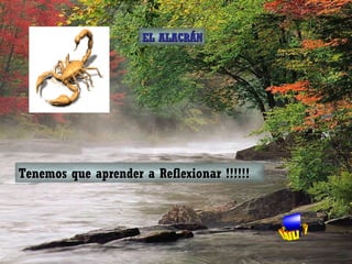 Tenemos que aprender a Reflexionar !!!!!! EL ALACRÁN 