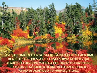 ASI QUE TOMA EN CUENTA ESTA BELLA REFLEXION DEL ALACRAN
  DONDE TE DICE QUE SI A TI TE GUSTA SERVIR, NO DEJES QUE
 ALGUIEN TE CUESTIONE Y TE DIGA QUE HAGAS LO CONTRARIO,
   TU ACTUA DE ACUERDO A LO QUE TU CORAZON TE DICTE,
         ACTUA DE ACUERDO A TU PROPIO CRITERIO.
 