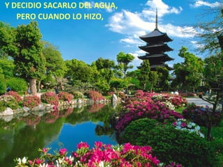 Y DECIDIO SACARLO DEL AGUA,
   PERO CUANDO LO HIZO,
 