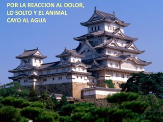 POR LA REACCION AL DOLOR,
LO SOLTO Y EL ANIMAL
CAYO AL AGUA
 