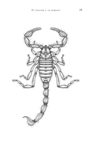 El Alacran y su Picadura | PDF